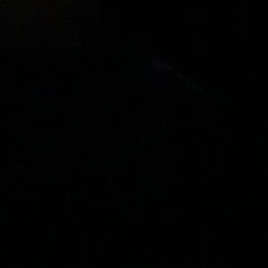 Meet your Posher, Bridget